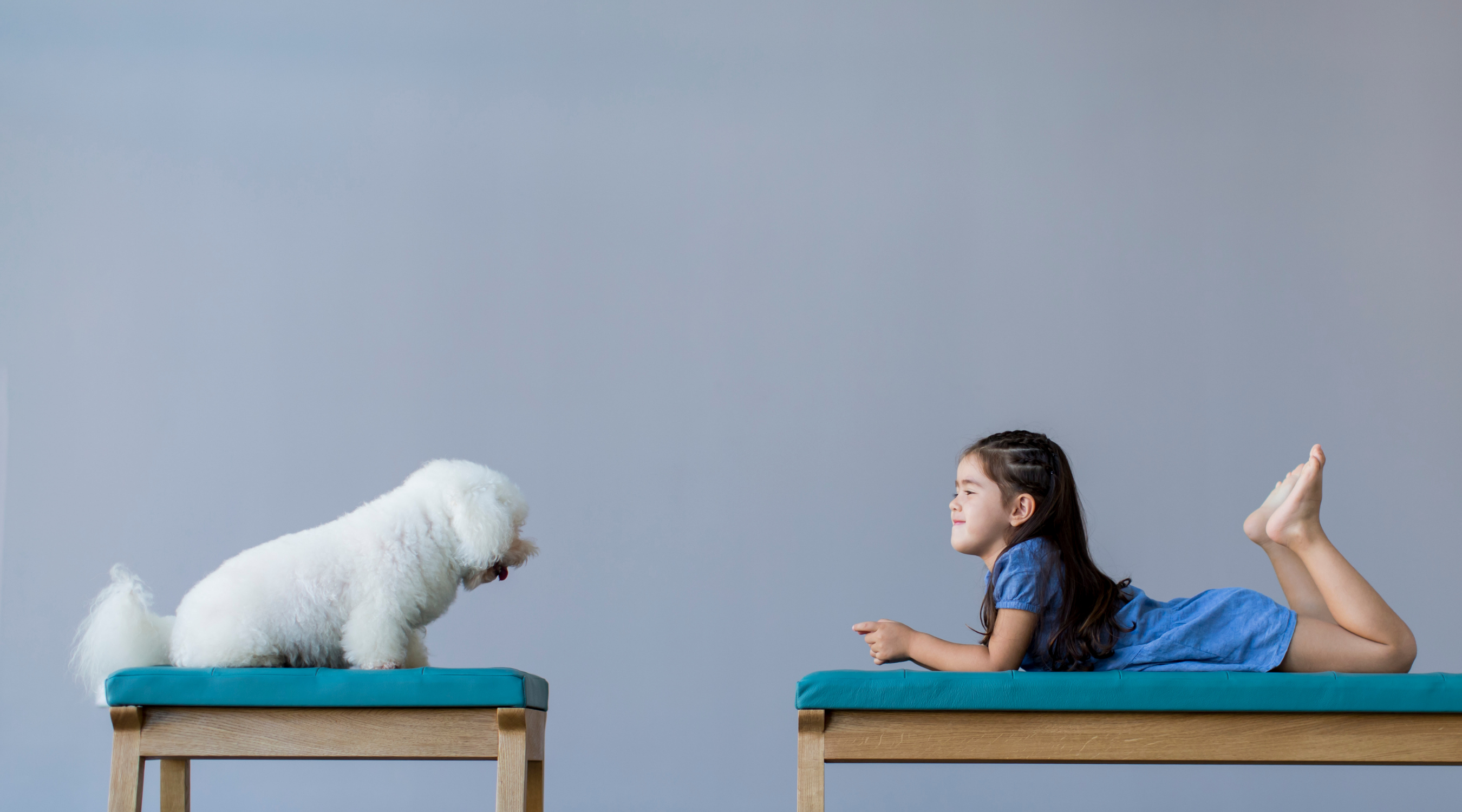 Dog Background